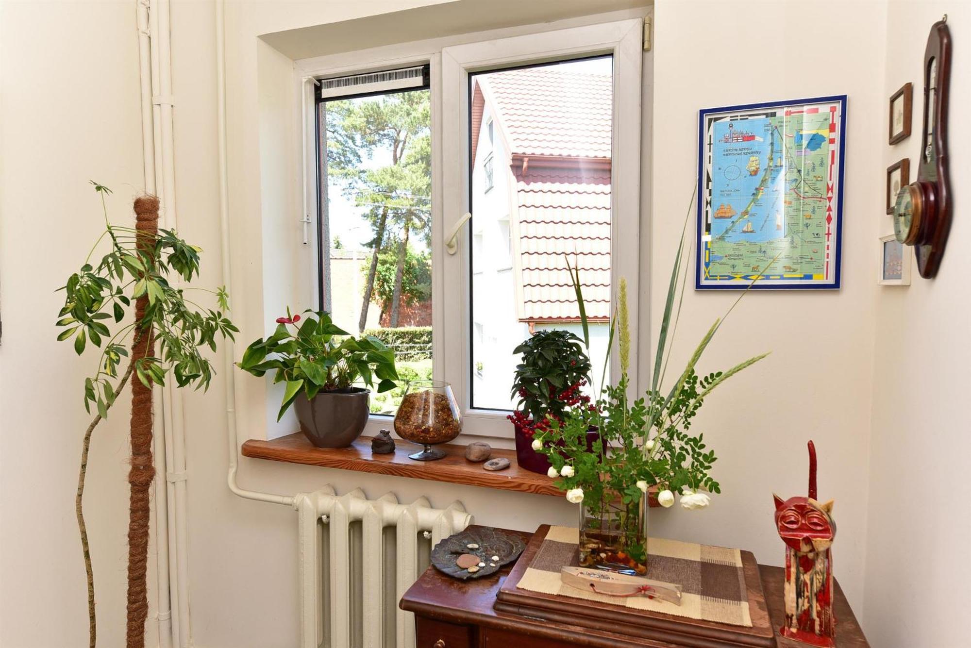 קלייפדה Apartments Near The Sea מראה חיצוני תמונה